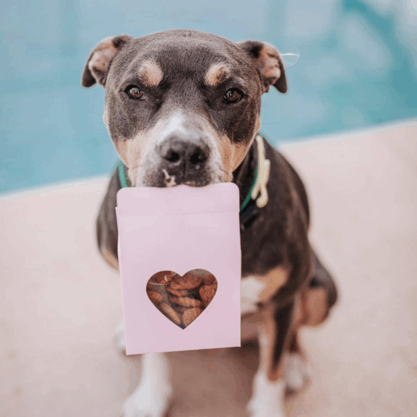 Heart(Beet) Boxes - Superfood Dog Treats