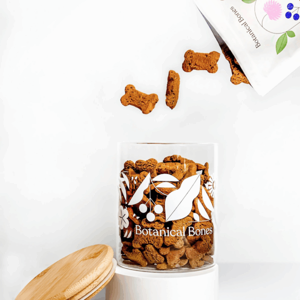 The Treat Jar