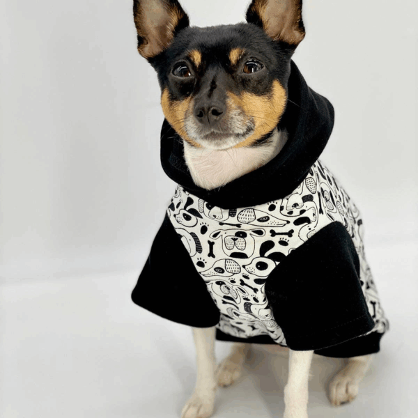 DCNY: Iconic "Pup Art" Designer Dog Hoodie