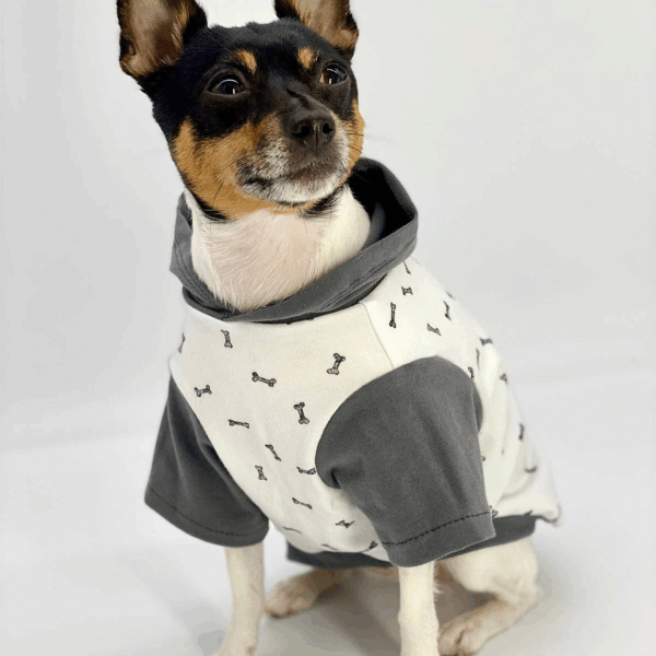 DCNY Wag And Bone Colorblock Hoodie