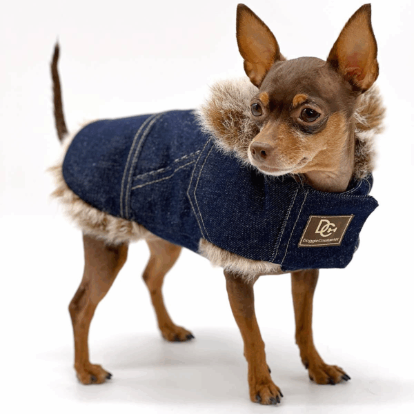 DCNY Faux Fur Denim Coat
