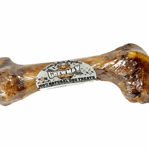 Porky Femur Bone