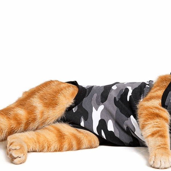SUITICAL Cat Recovery Suits