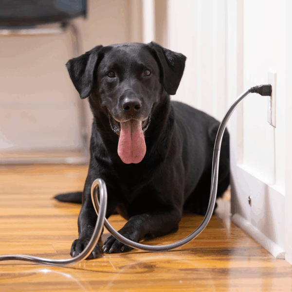 PETCORDS HEAVY DUTY 8FT CORD PROTECTOR FOR PETS MADE IN USA