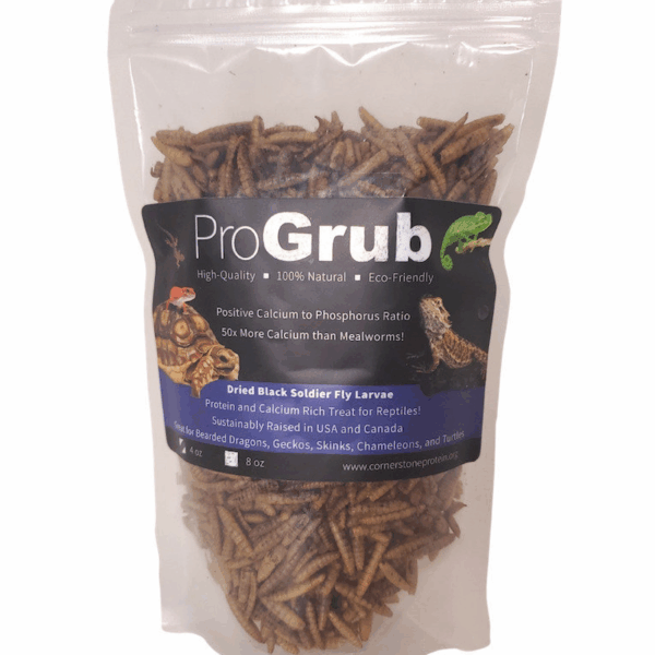 Dried Black Soldier Fly Larvae