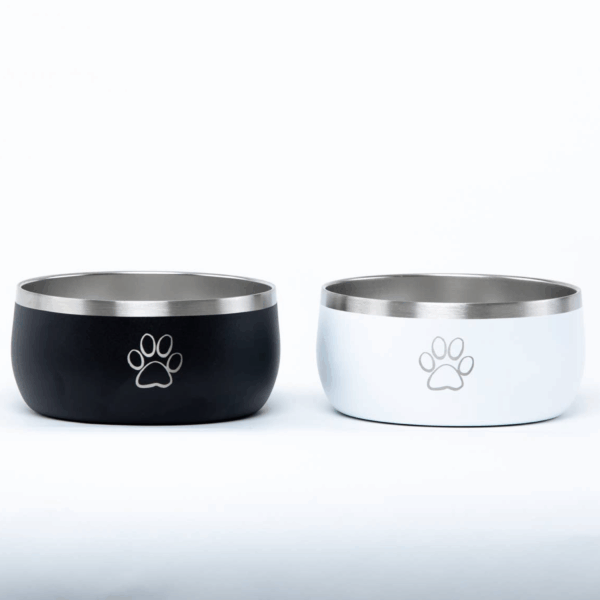 Stainless Steel Dog Bowl Set