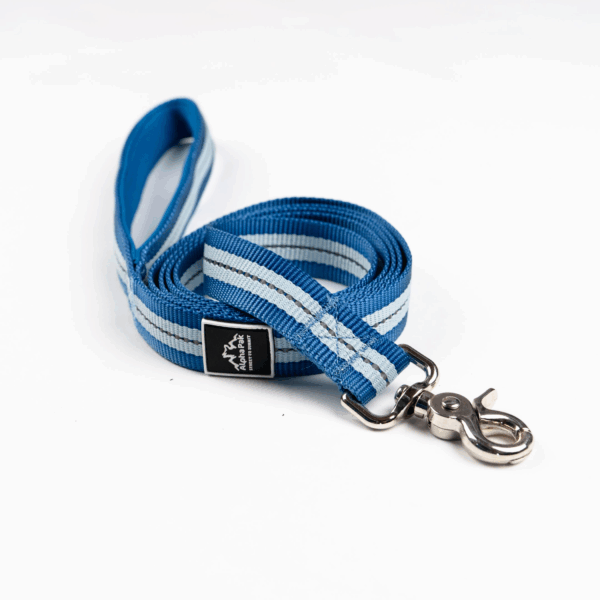 Appalachian Jazz Blue Flat Dog Leash