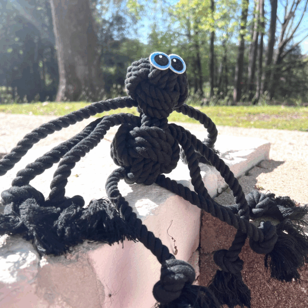 Black Spider Dog Handmade Rope Toys | Halloween Decorations
