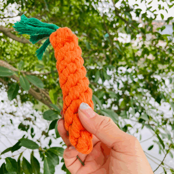 Handmade Sustainable Carrot Rope Chew Toy For little Pet
