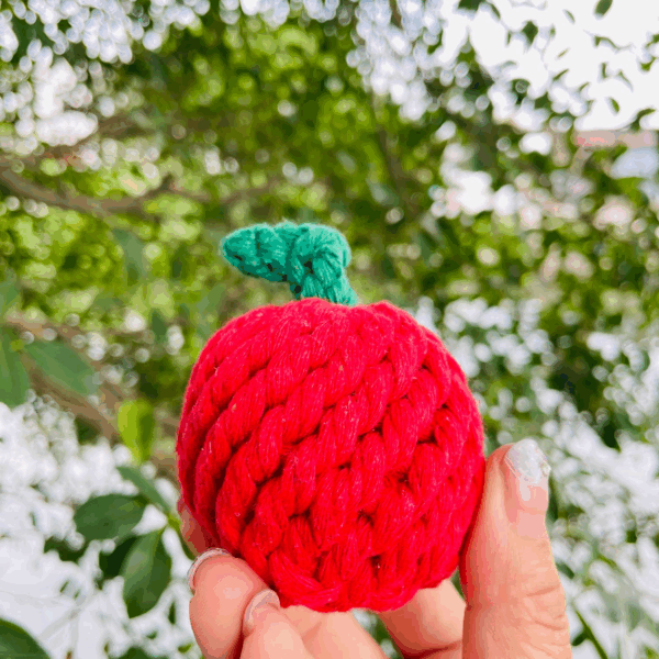 Handmade Sustainable Fuji Apple Rope Chew Toy For Puppies
