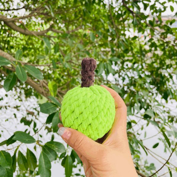 Handmade Sustainable Green Apple Rope Chew Toy For Puppies