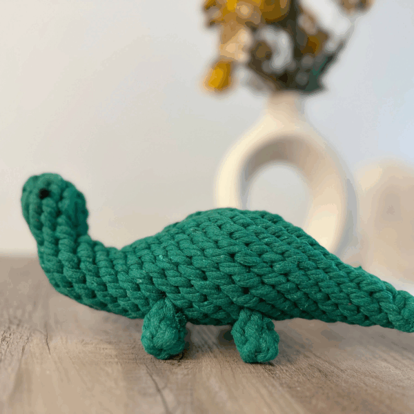 Handmade Sustainable Green Dinosaur Rope Toys