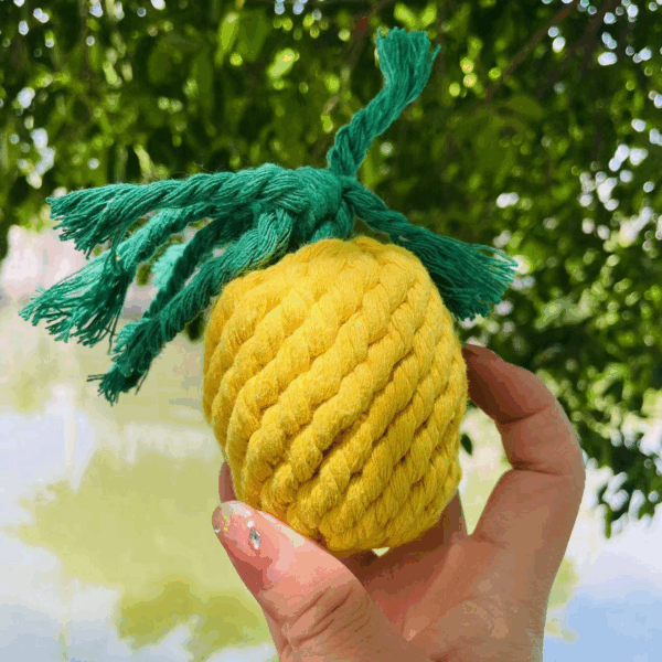 Handmade Sustainable Pineapple Rope Toys