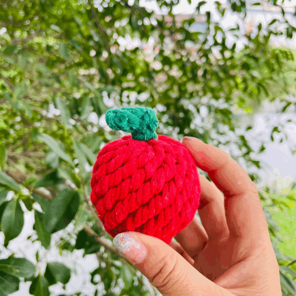 Handmade Sustainable Strawberry Rope Chew Toy For Puppies