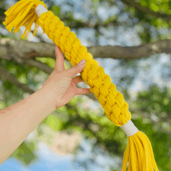 Large Gold Yellow Handmade Macrame Candy Rope for Big Dogs