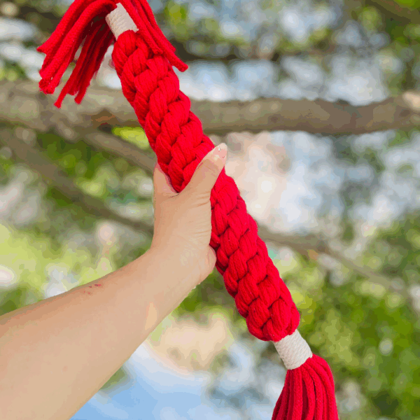 Large Red Handmade Macrame Candy Rope for Big Dogs (Copy)