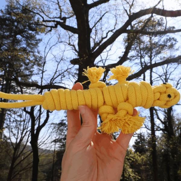 Sustainable Rope Lizard Dog Toy, Dog Rope Toys For Puppies