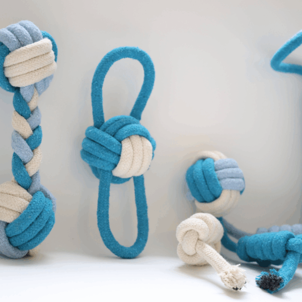 Eco-friendly Blue and White Rope Dog Toys 4 Set