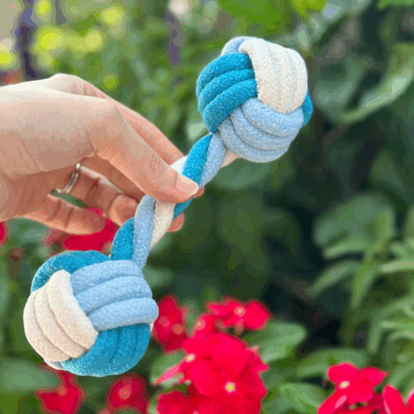 Eco-friendly Rope Chew and tug Toys 4 Pc