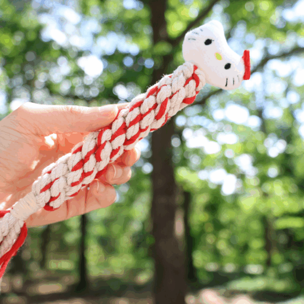 Eco-Kitty Dog Rope Plush Squeaky Toy for Puppies