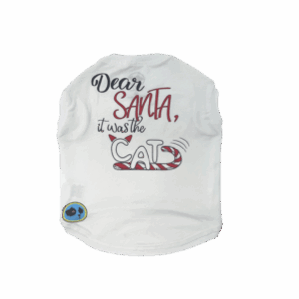 Dear Santa/Cat Tee