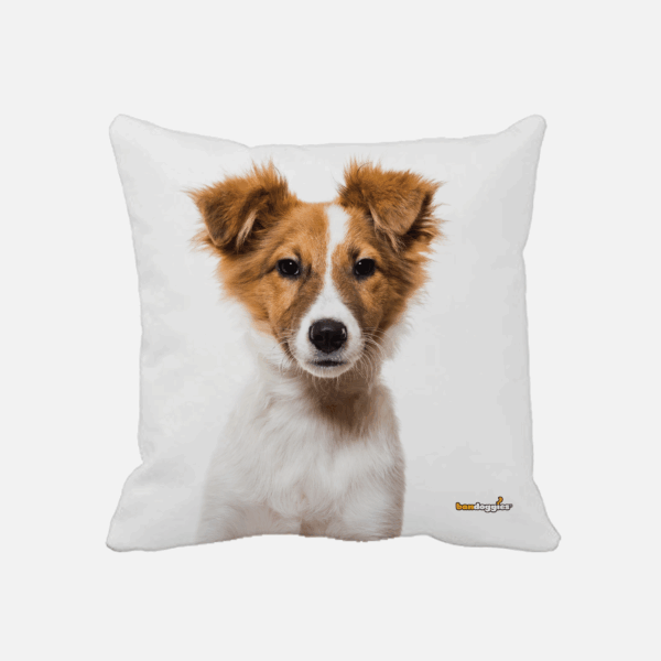 Australian Shepard Puppy Throw Pillow