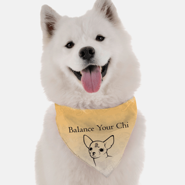 Balance Your Chi