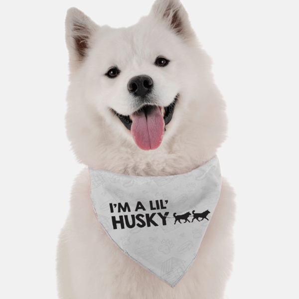 I'm a lil' Husky