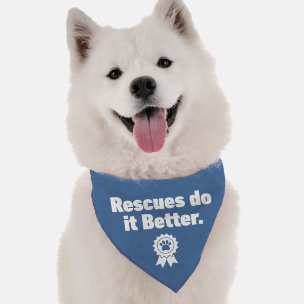 Rescues Do it Better