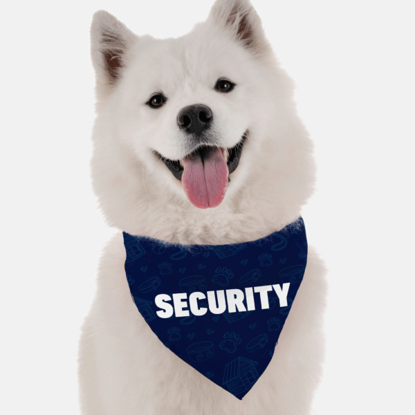 Security