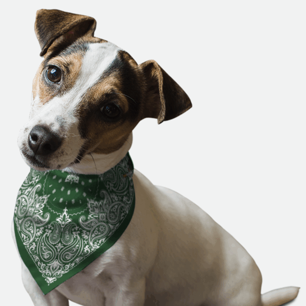Hunter Green Paisley