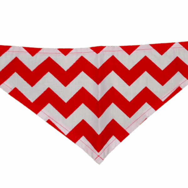 GG125FB|Pets Ribbons