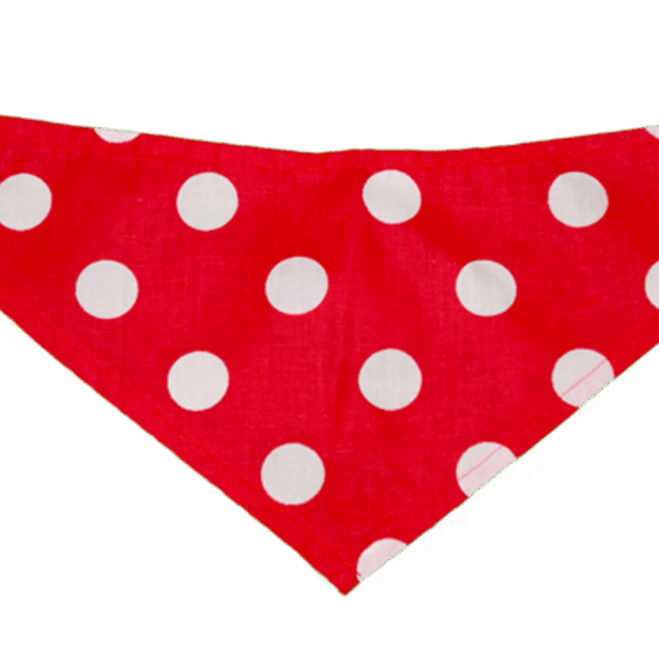 GG126FB|Pets Ribbons