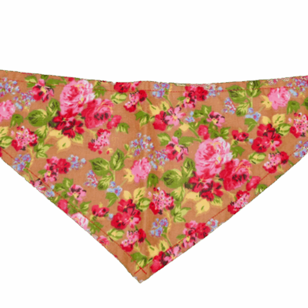 GG129FB Sand|Pets Ribbons