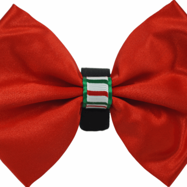 PR3000XCS|Pets Ribbons
