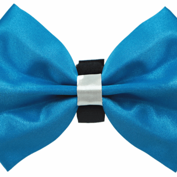 PR3001|Pets Ribbons