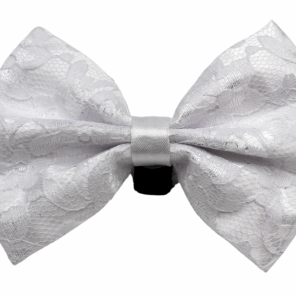 PR3002|Pets Ribbons