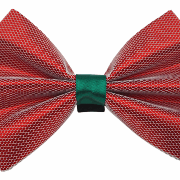 PR3004X|Pets Ribbons