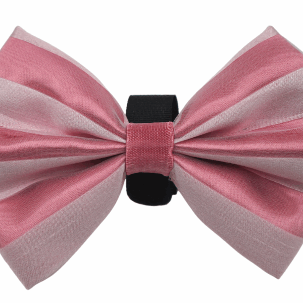 PR3006VA|Pets Ribbons