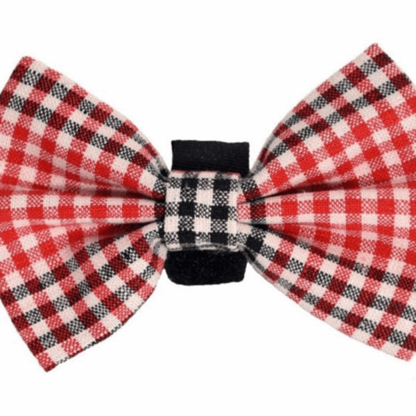 PR4004|Pets Ribbons