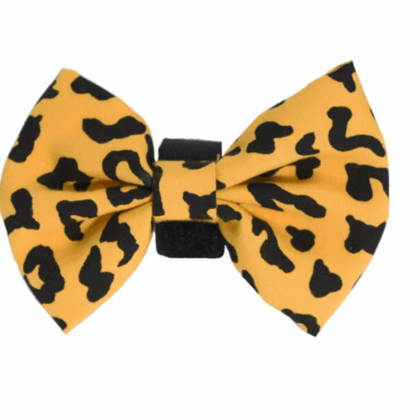 PR6000|Pets Ribbons