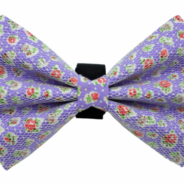 PR8000|Pets Ribbons