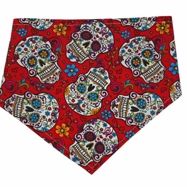 GG132FB|Pets Ribbons