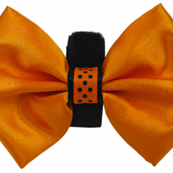 PR3000HD|Pets Ribbons