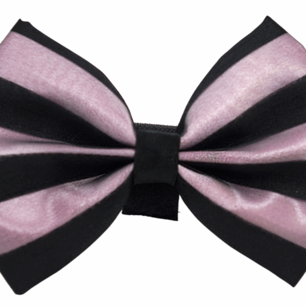 PR3006|Pets Ribbons
