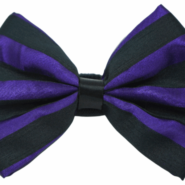 PR3006HS|Pets Ribbons