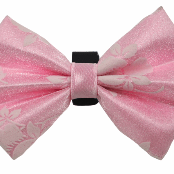 PR3010|Pets Ribbons