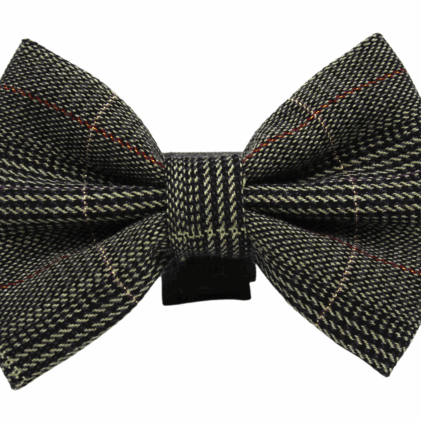 PR4014|Pets Ribbons