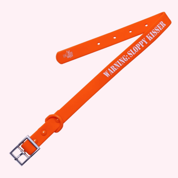 "Warning: Sloppy Kisser" Orange Silicone Collar