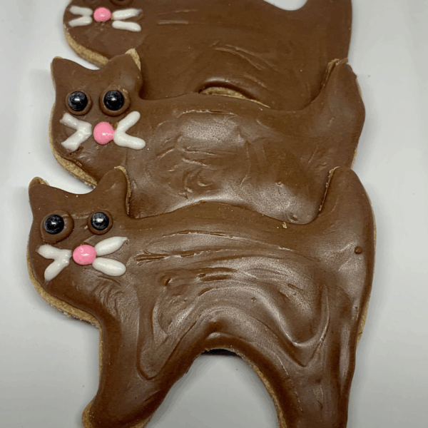 Fraidy Cat